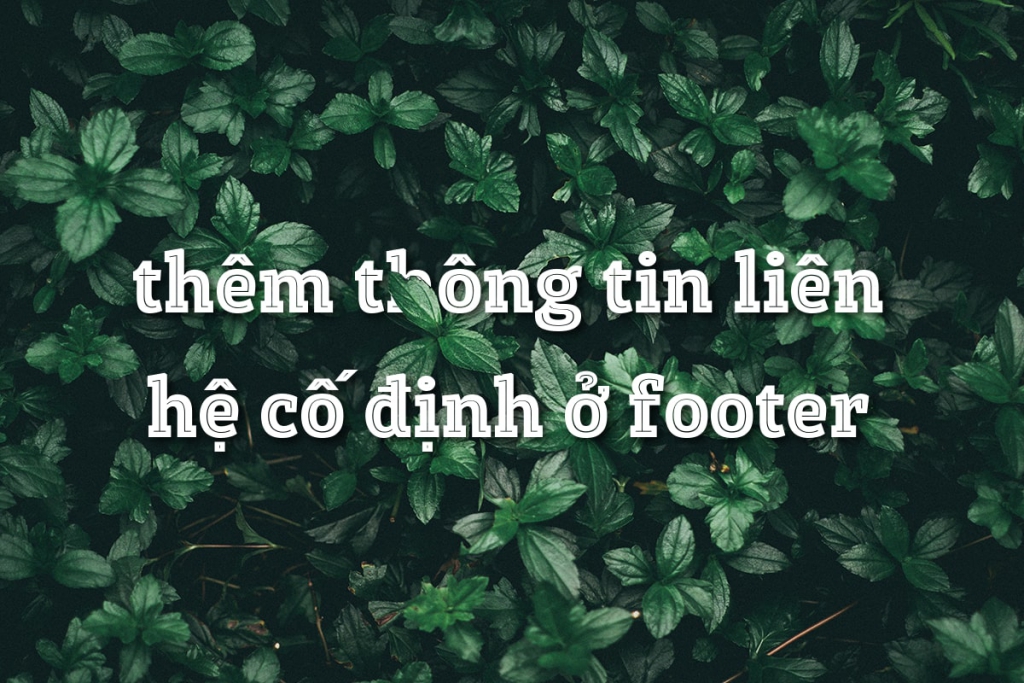 Cách thêm thông tin liên hệ cố định ở cuối footer