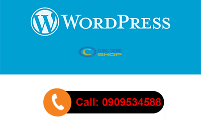 Cách Code nút gọi điện thoại vào website wordpress