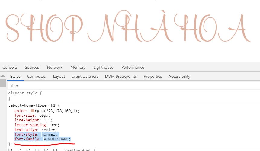 Hướng Dẫn Cách Cài Font Ngoài Vào Website WordPress