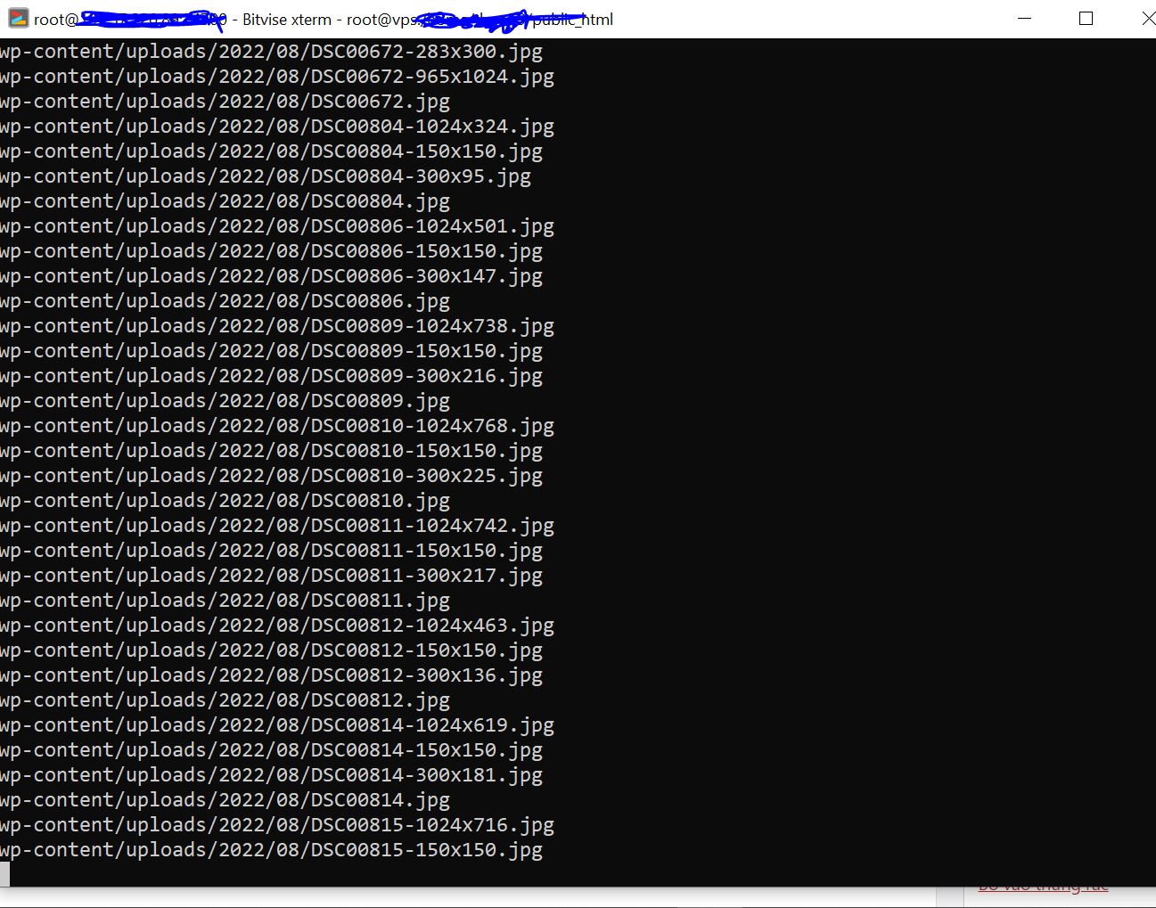 Cách chuyển dữ liệu bằng rsync SSH Server